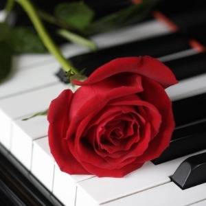 Valentine's Moonlight Sonata