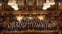 Vienna Philharmonic Orchestra