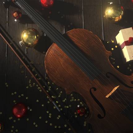 Vivaldi's Four Seasons at Christmas at Newcastle Cathedral
