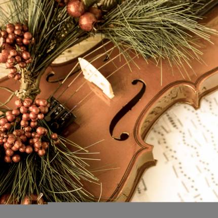 Vivaldi's Four Seasons at Christmas at St Mary Le Strand Church