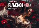 We call it Flamenco A Sensational Spanish Dance Show