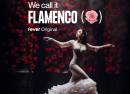 We Call It Flamenco A Unique Spanish Dance Show