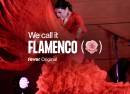 We call it Flamenco Een Unieke Spaanse Dansshow