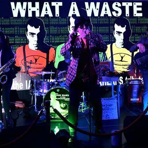 What a Waste - the Ian Dury & the Blockheads Show