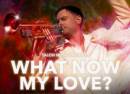 What Now My Love - A Tribute to Herb Alpert