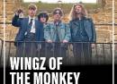 Wingz of the Monkey + Support