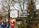 Winter Wonder at Queens Botanical Garden