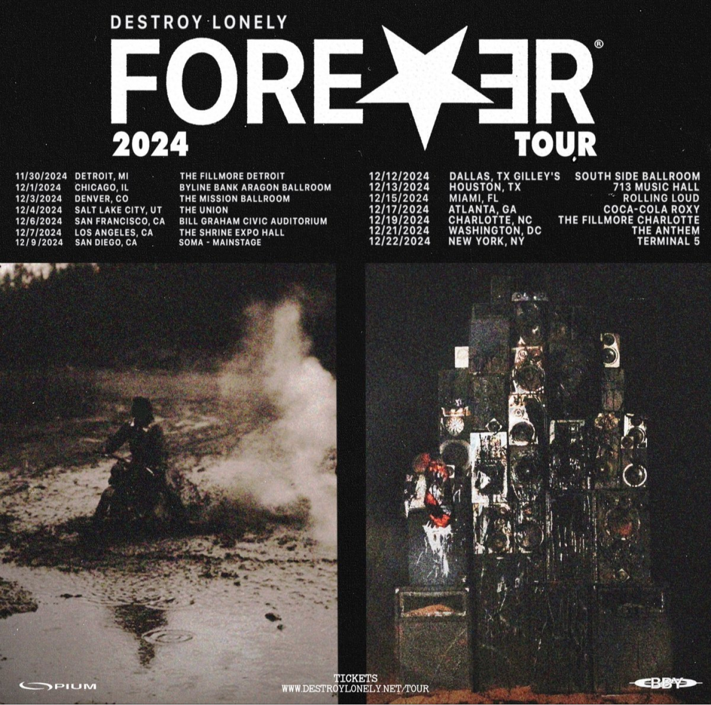 Destroy Lonely Forever Tour Poster 2024