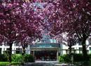 Maritim Hotel Magdeburg
