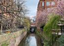 Manchester's Gay Village