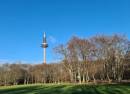 Grüneburgpark