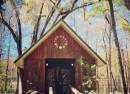 Spirit of the Suwannee Music Park & Campground