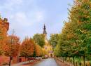 Kloster - Refektorium
