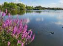 PARC JACQUES VERNIER