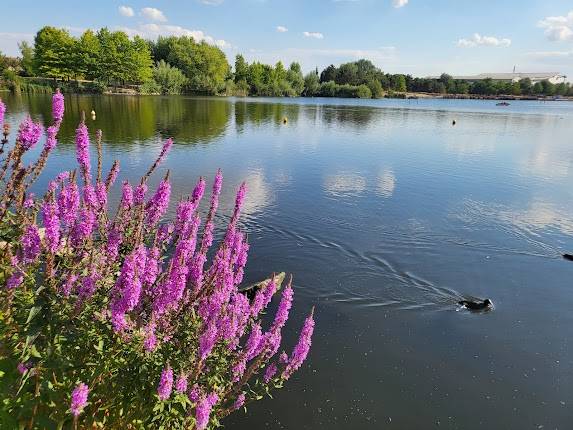 PARC JACQUES VERNIER