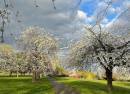 Parsloes Park