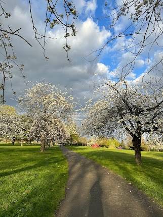 Parsloes Park