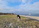 Südstrand Eckernförde