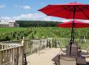 Spyglass Ridge Winery