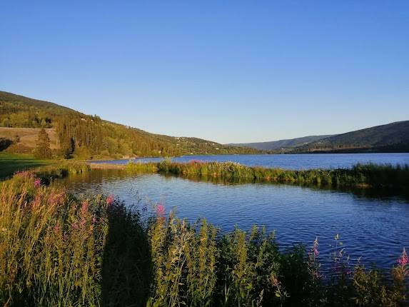Fagernes Sentrum