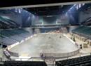 Vibrant Arena at The MARK