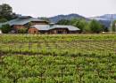 DeLorimier Winery