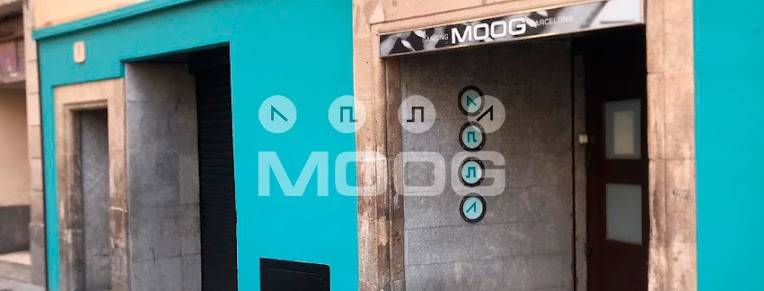 Moog