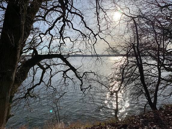Skælskør Lystskov