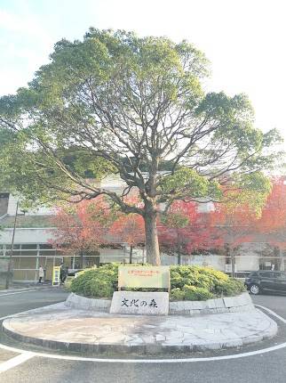 Togitsu Canary Hall