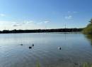Stadtwaldsee