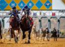 Del Mar Racetrack & Fairgrounds - Complex