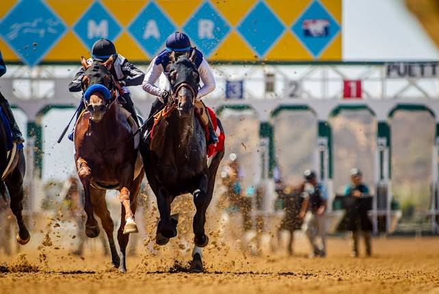 Del Mar Racetrack & Fairgrounds - Complex