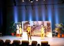 Espace Andre Malraux