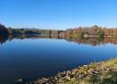 Emmarentia Dam