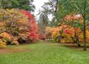 Westonbirt Arboretum
