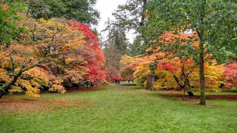 Westonbirt Arboretum