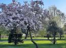 Finsbury Park