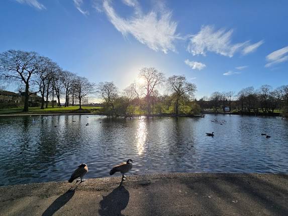 Hillsborough Park