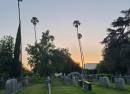 Cinespia at Hollywood Forever - Complex