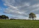 Clifton Downs