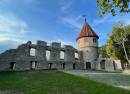 Burg Honberg