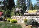 Nevada County Fairgrounds