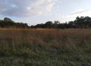 Warbleton Farms Campsite