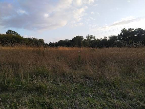 Warbleton Farms Campsite
