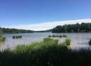 PRESQU'ILE DE MALSAUCY