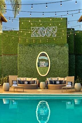 Hotel Ziggy