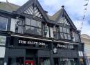 The Salty Dog