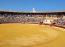 Plaza de toros el arenal