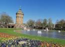 Mannheim