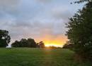 Morden Park